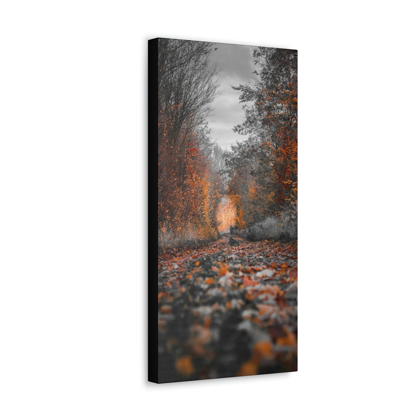 Fall road - Foliage, Nature, Forest, Leaves - Canvas Gallery Wraps