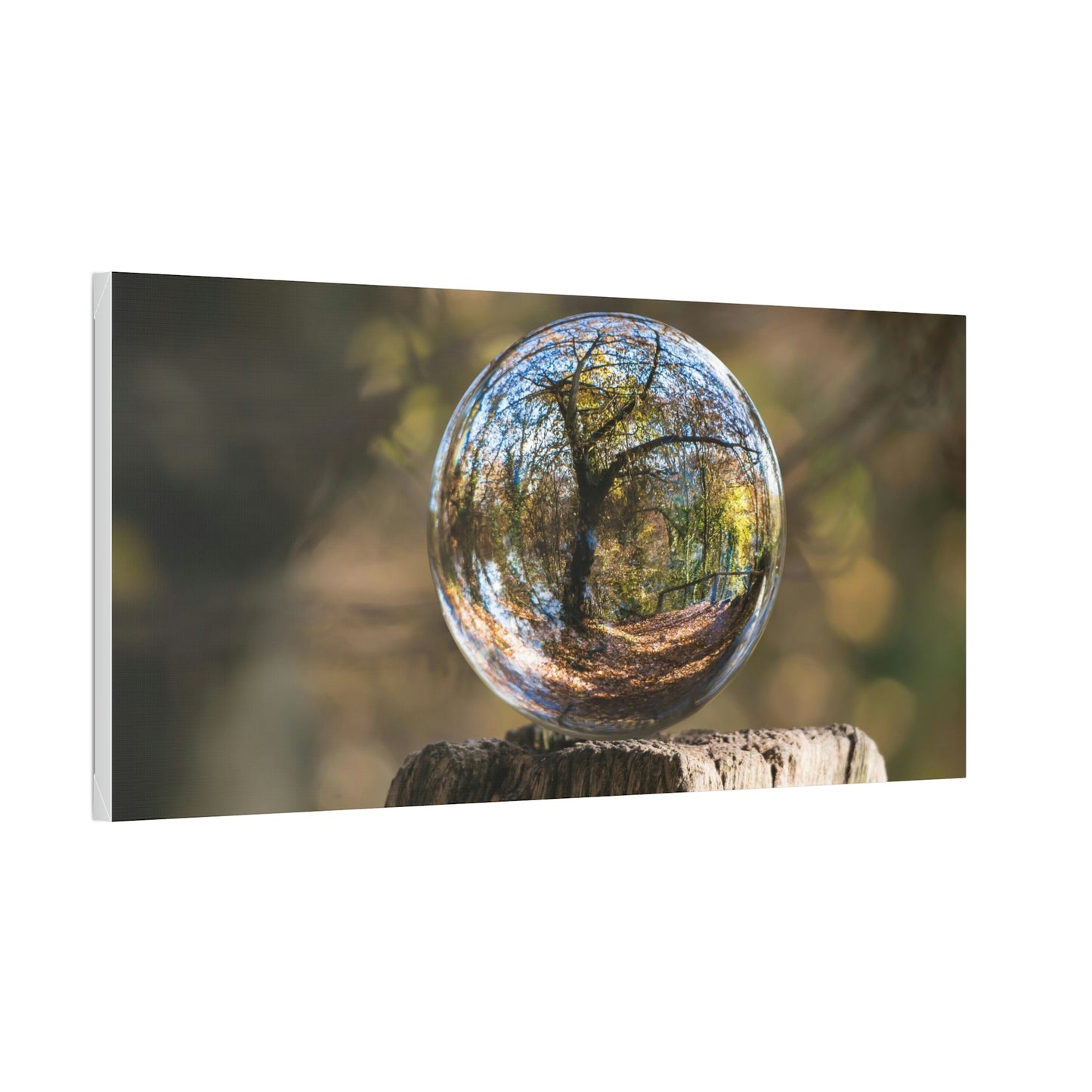 Forest, Globe, Trees, Nature, Forest Globe - Polyester Canvas