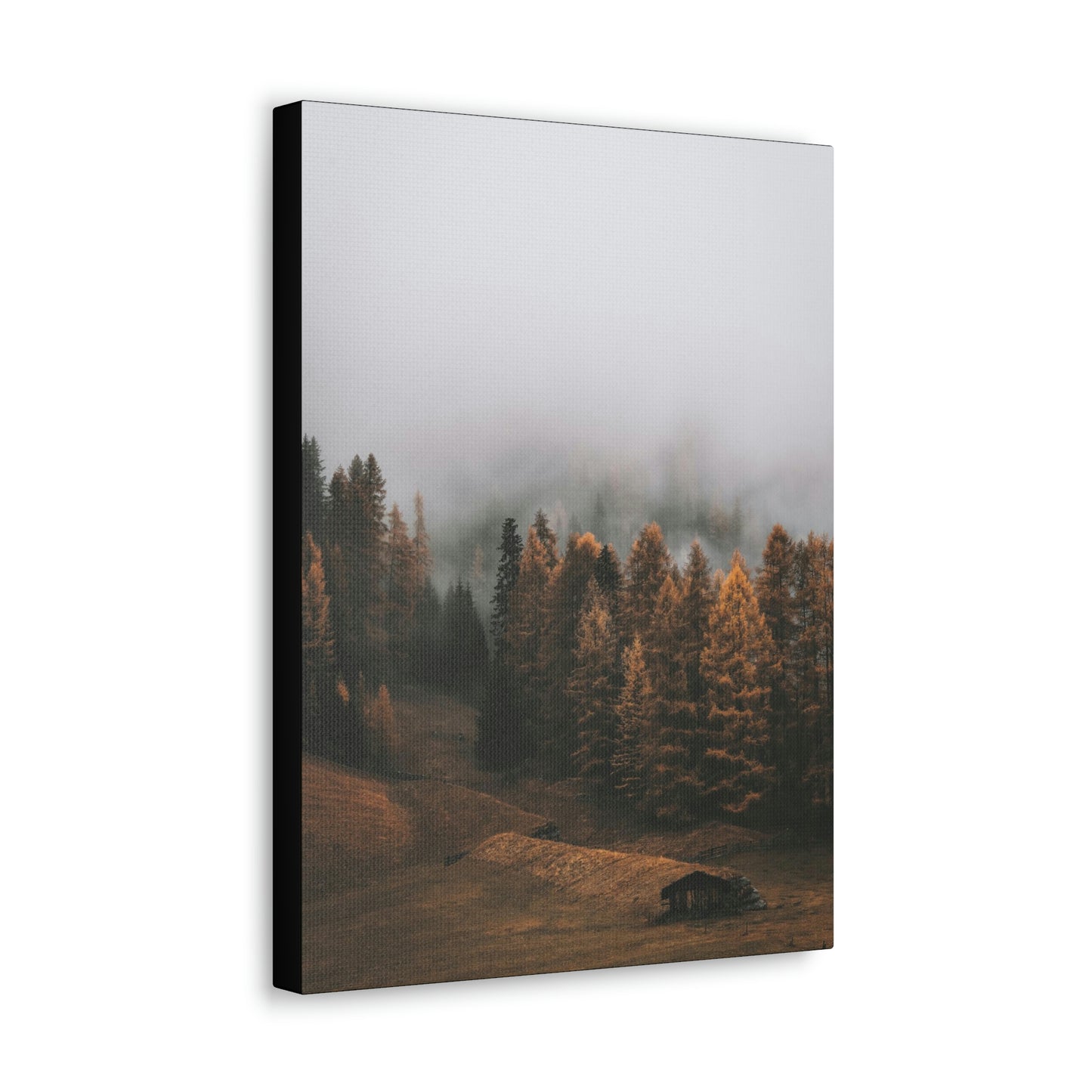 Smokey Mountains, Forest, Fog - Classic Canvas