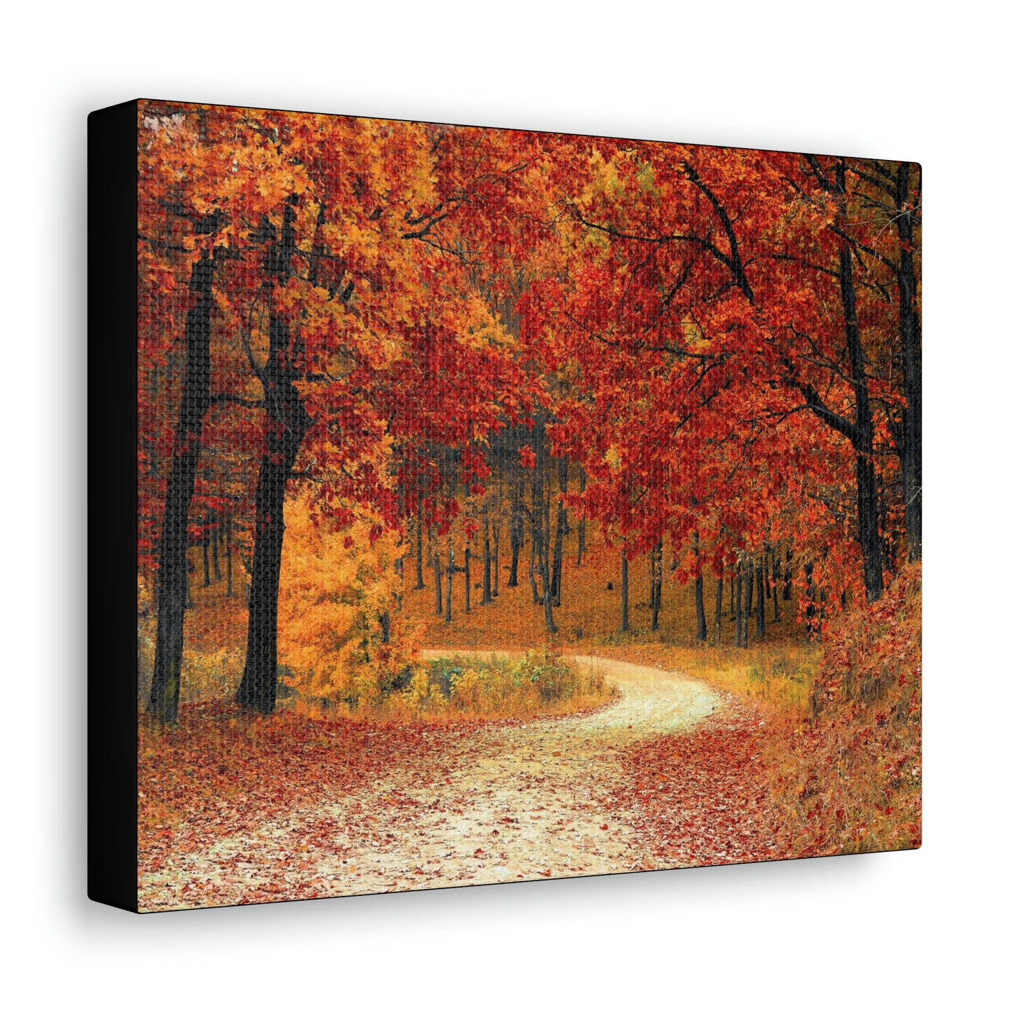 Fall Trail - Foliage forest - Canvas Gallery Wraps