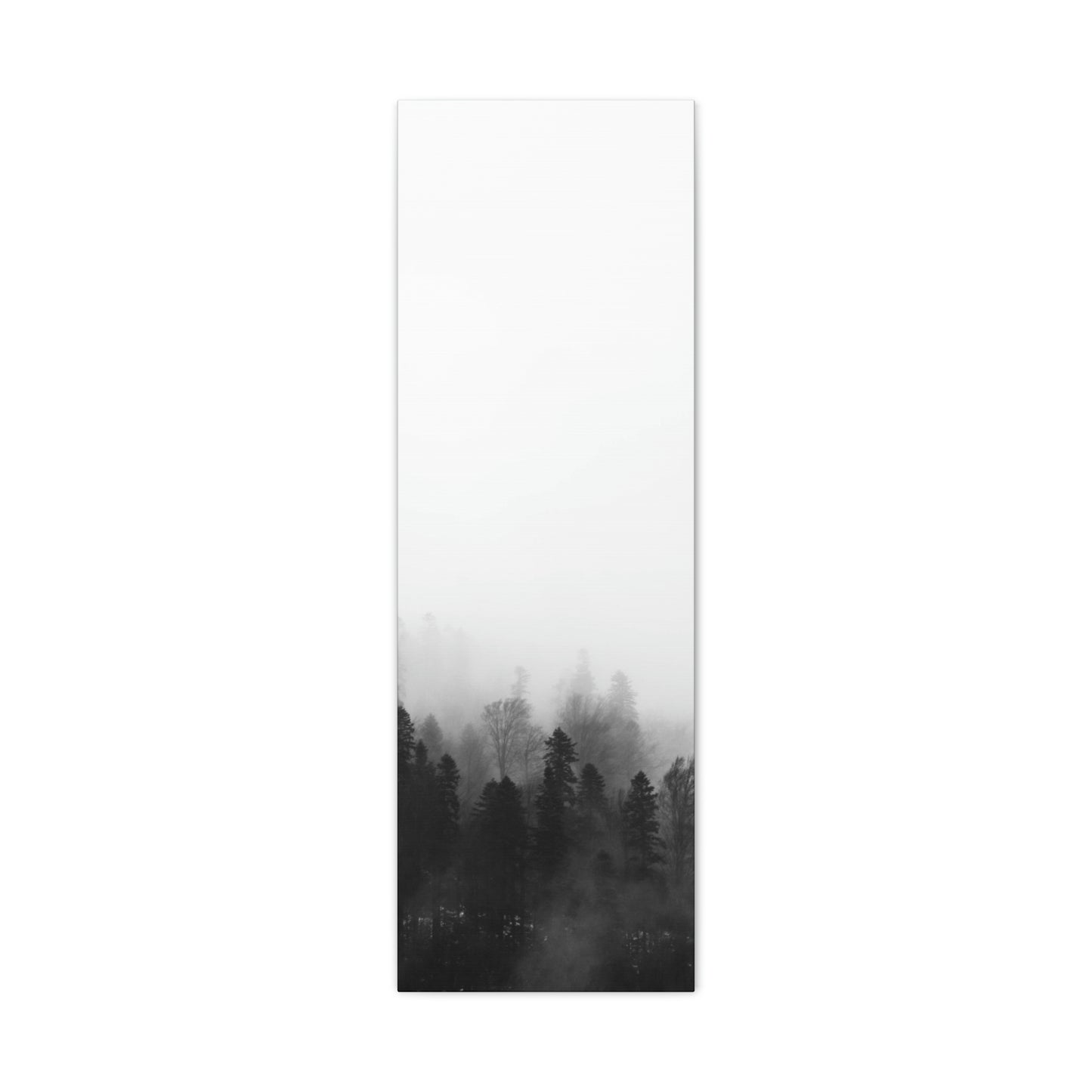 B&W Forest - Canvas Gallery Wraps
