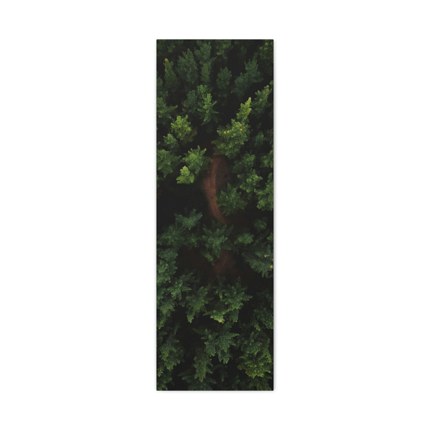 Forest eagle-view - Canvas Gallery Wraps