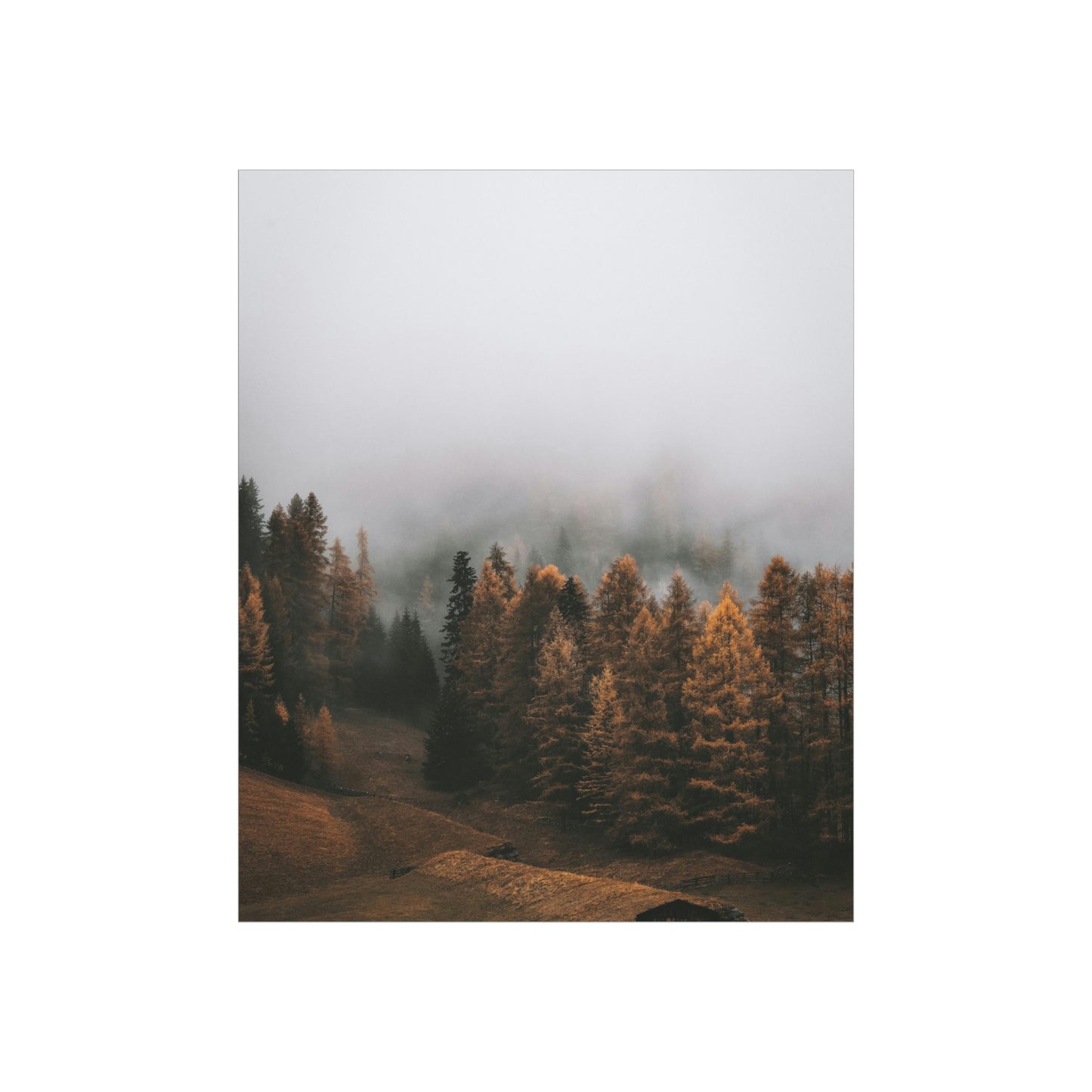 Smokey Mountains, Forest, Fog - Premium Matte Vertical Posters