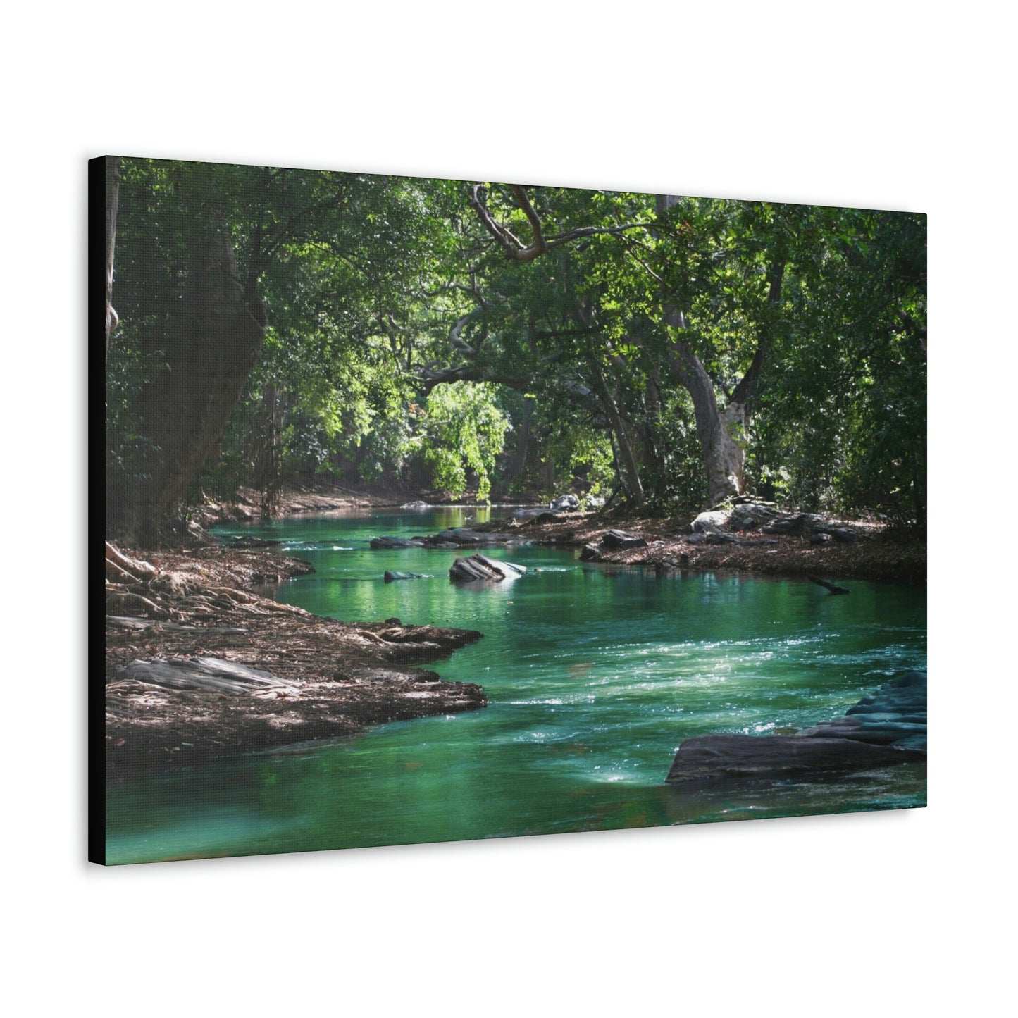Scenic River - Forest - Canvas Gallery Wraps