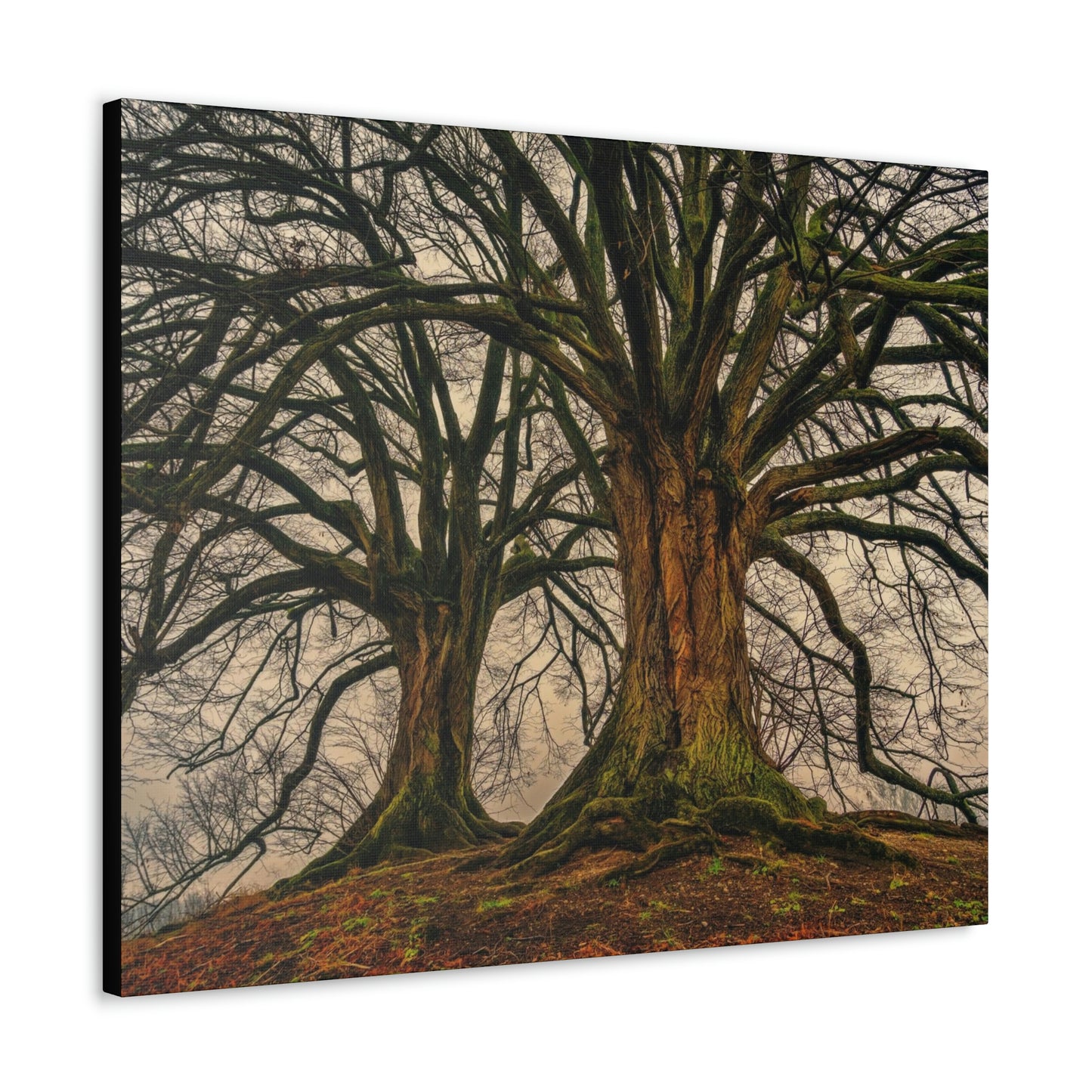Dark Trees - Nature, Trees, Dark Canvas Gallery Wraps