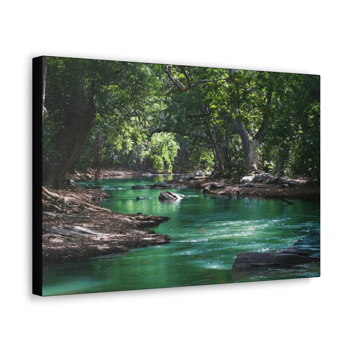 Scenic River - Forest - Canvas Gallery Wraps