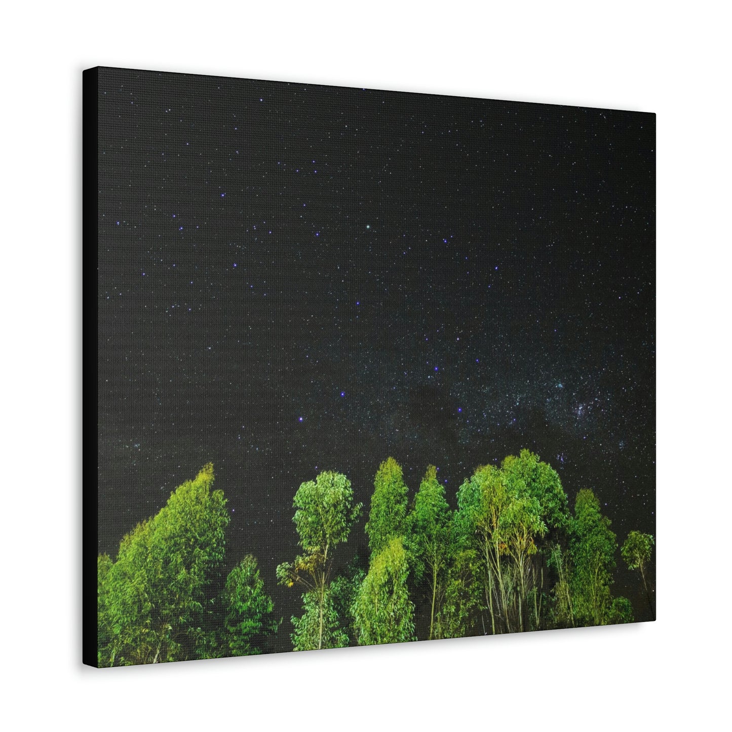 Starry Forest - Star, Forest, Nature - Canvas Gallery Wraps
