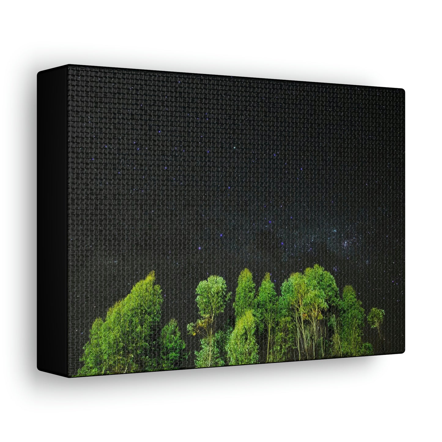 Starry Forest - Star, Forest, Nature - Canvas Gallery Wraps