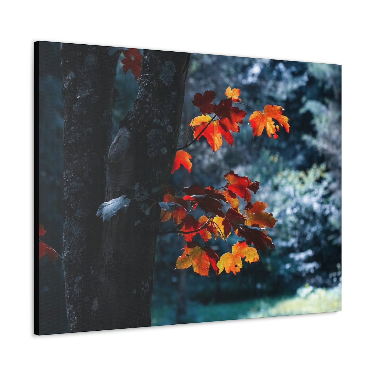 The last Leaves, Fall, Foliage, Nature, Forest - Canvas Gallery Wraps