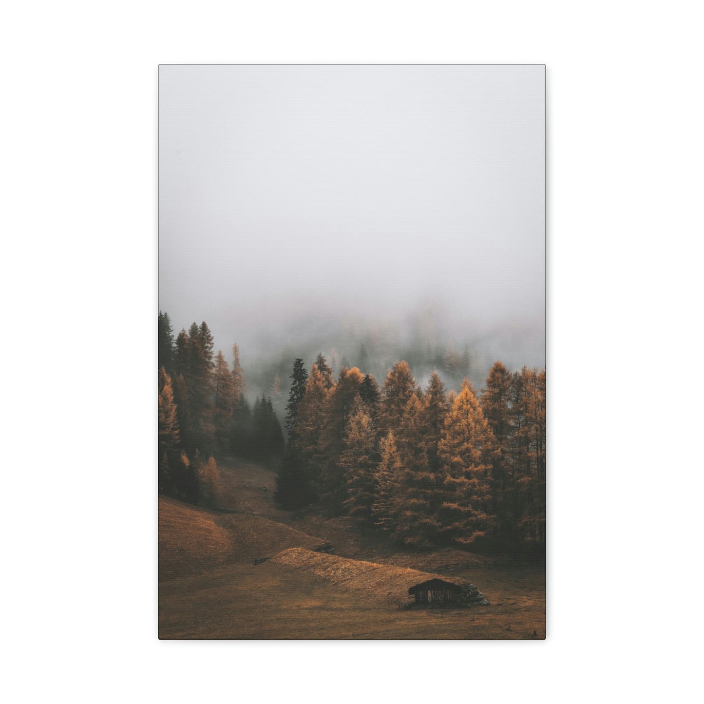 Smokey Mountains, Forest, Fog - Classic Canvas