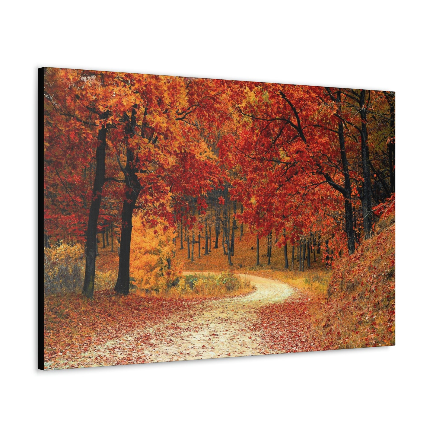 Fall Trail - Foliage forest - Canvas Gallery Wraps