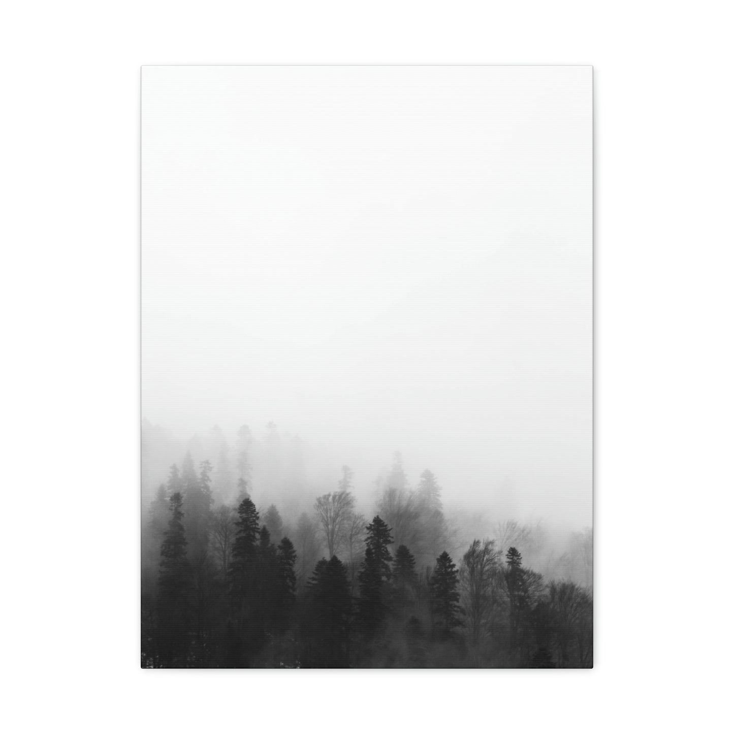 B&W Forest - Canvas Gallery Wraps