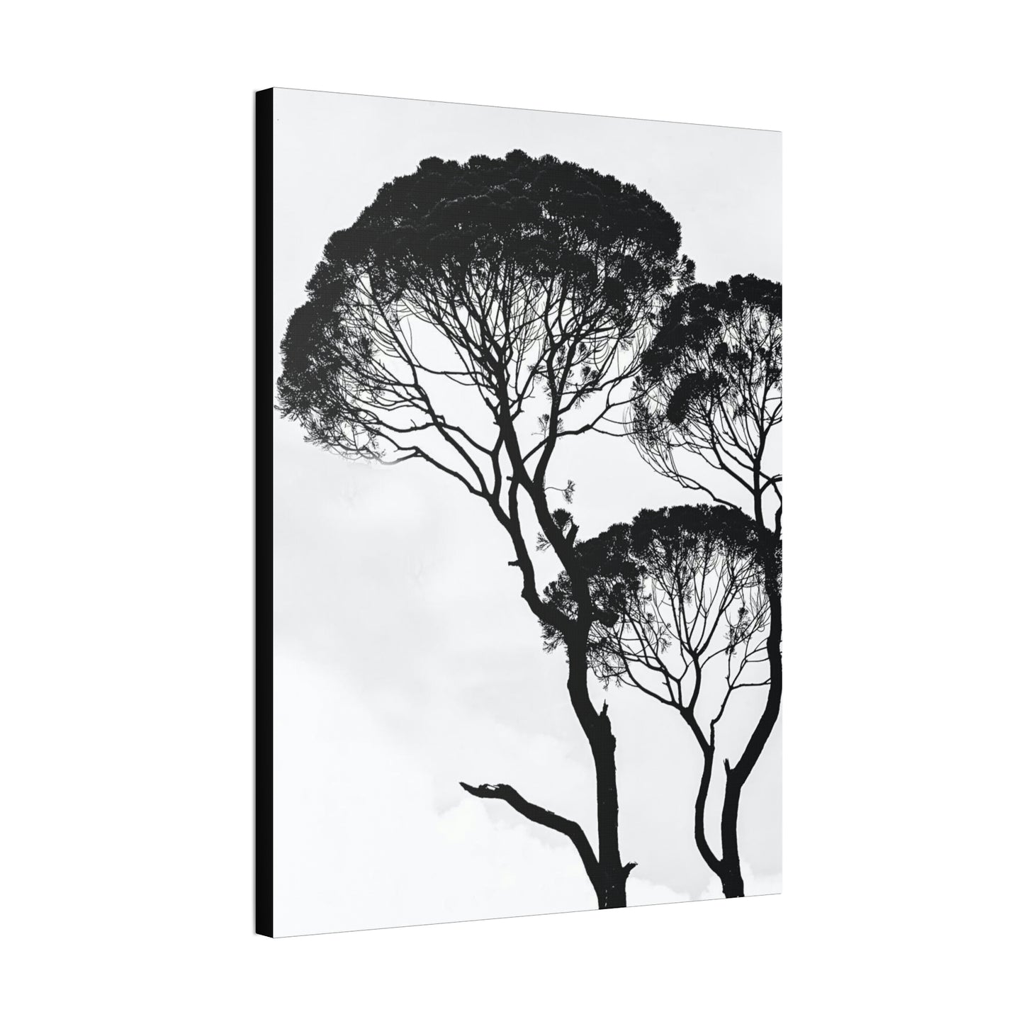 Black and White Trees, Trees, Savannah, Safari - Polyester Canvas