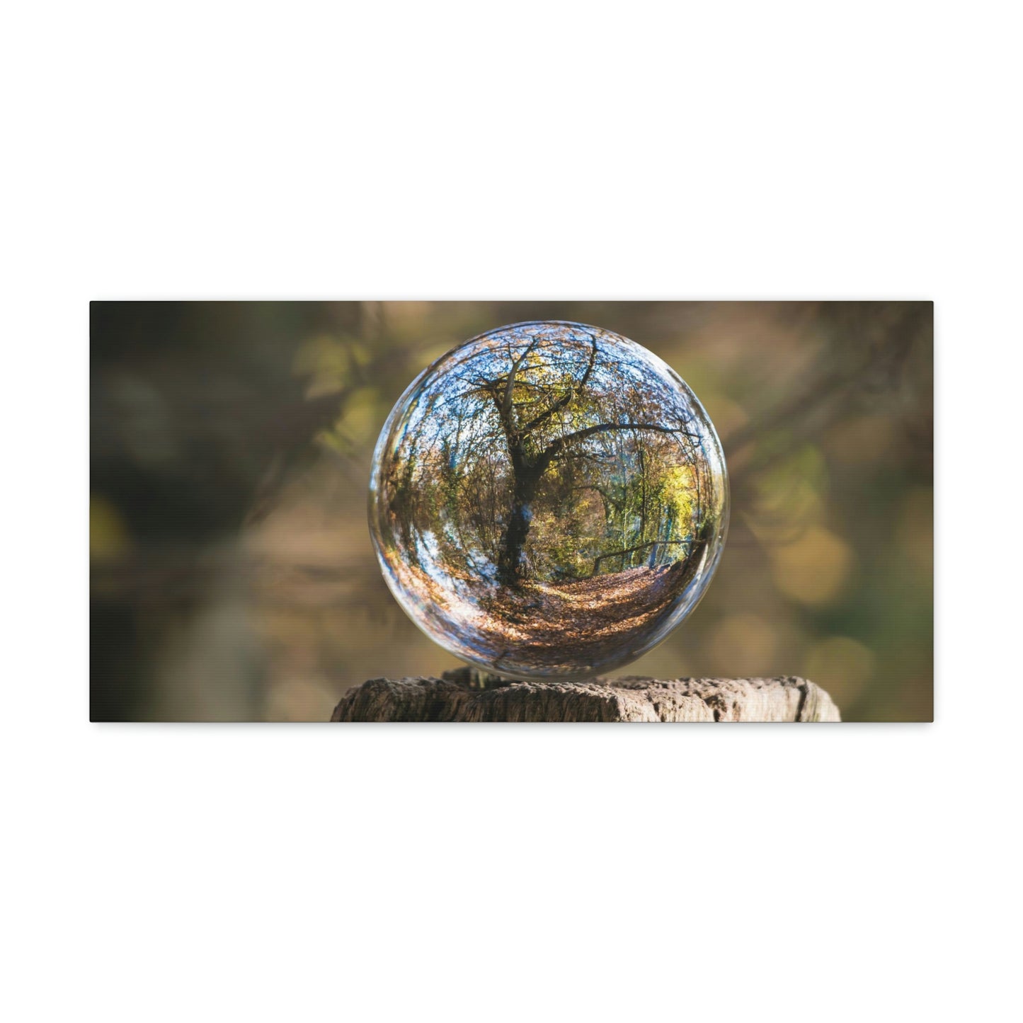 Forest, Globe, Trees, Nature, Forest Globe - Polyester Canvas