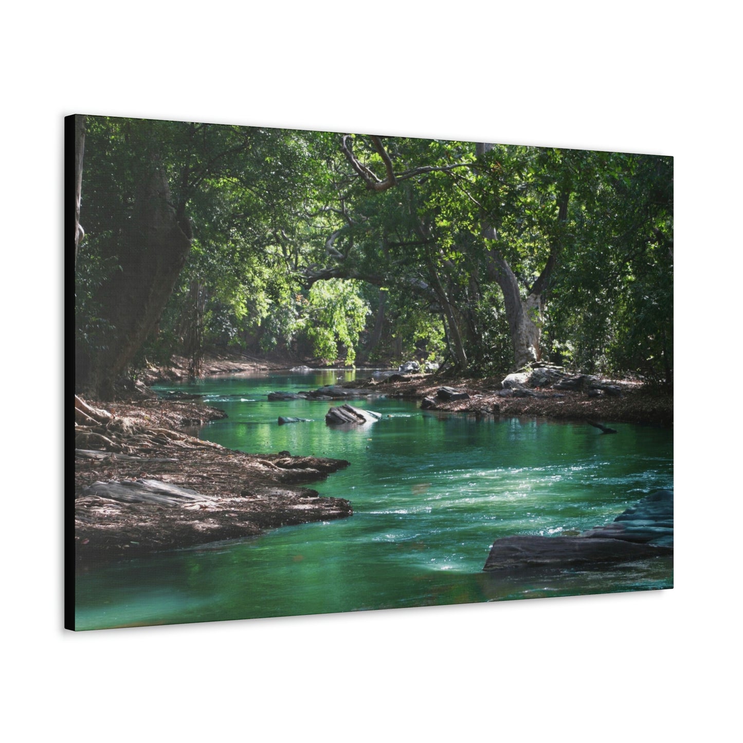 Scenic River - Forest - Canvas Gallery Wraps