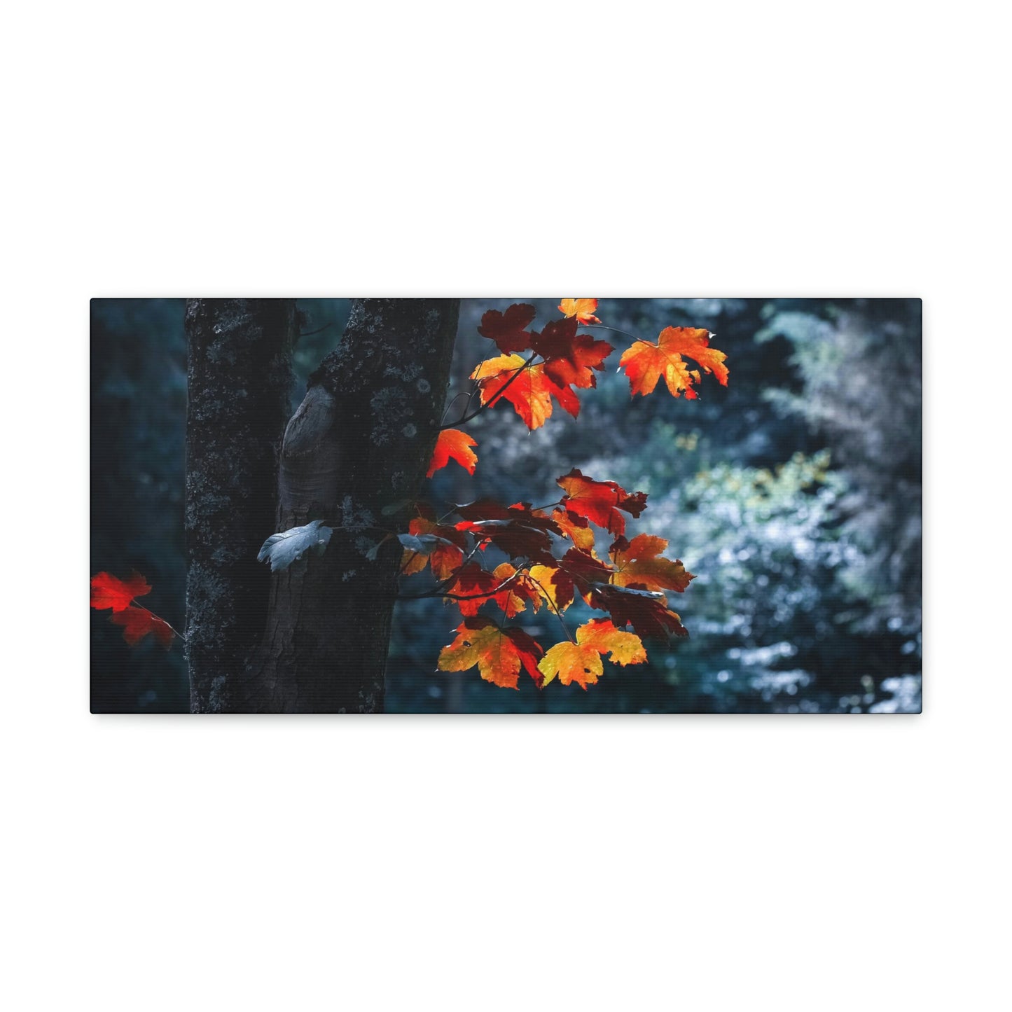The last Leaves, Fall, Foliage, Nature, Forest - Canvas Gallery Wraps
