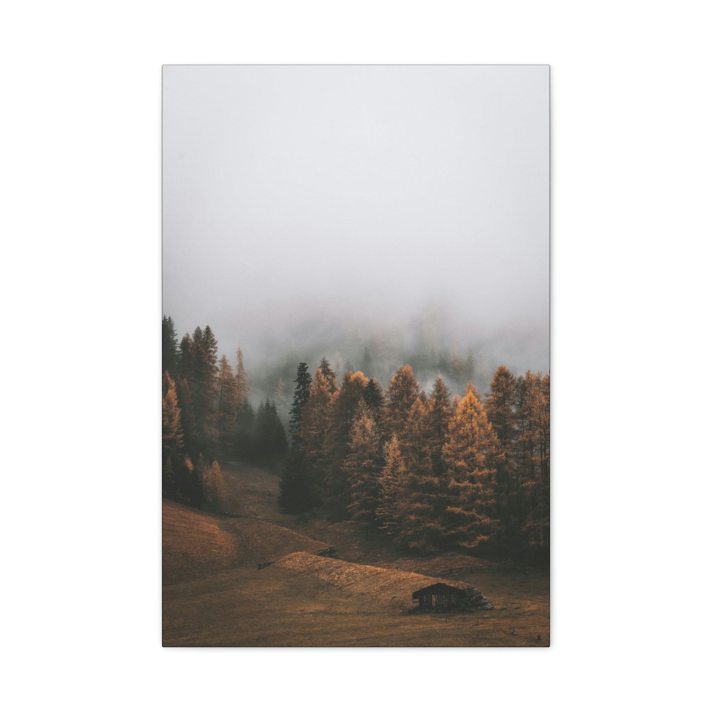 Smokey Mountains, Forest, Fog - Classic Canvas