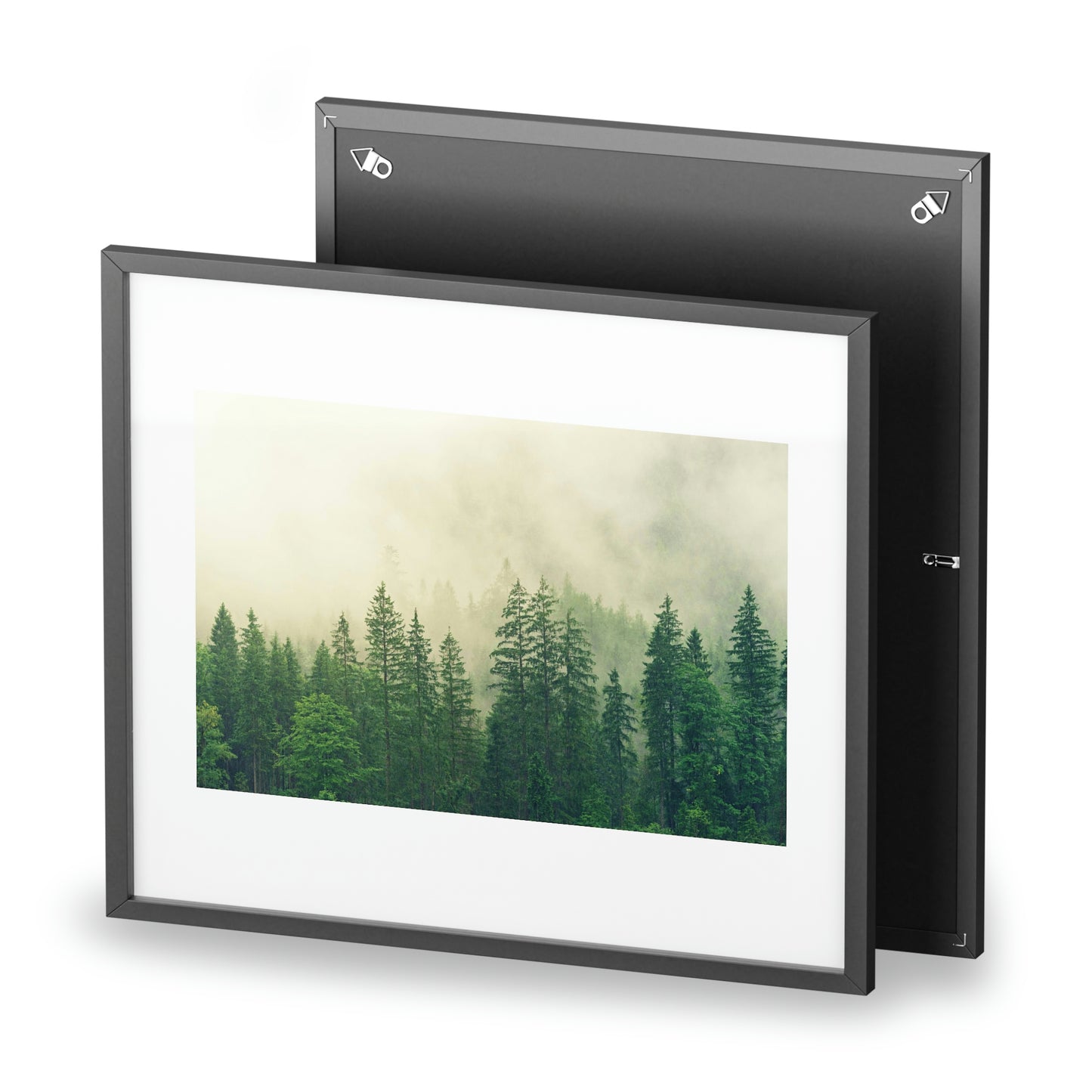 Foggy Forest - Framed Posters, Matte
