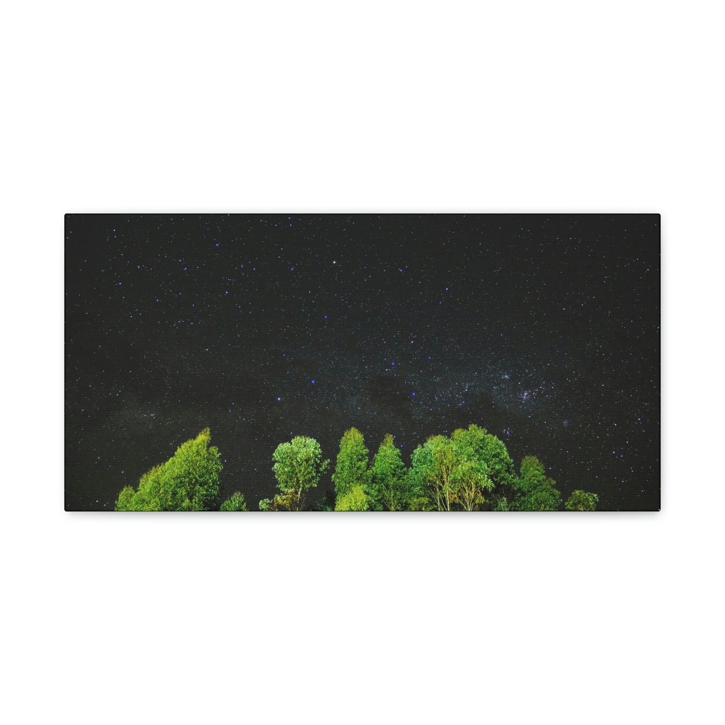 Starry Forest - Star, Forest, Nature - Canvas Gallery Wraps