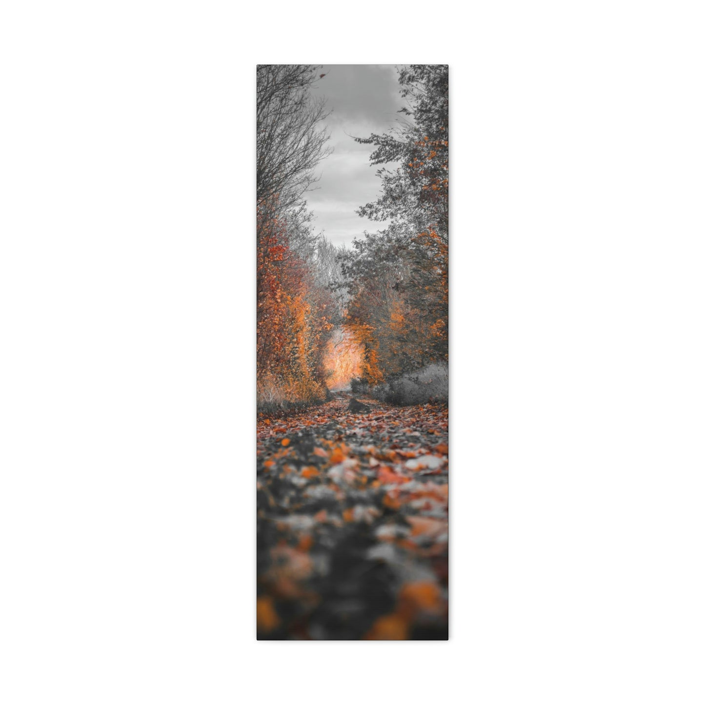 Fall road - Foliage, Nature, Forest, Leaves - Canvas Gallery Wraps