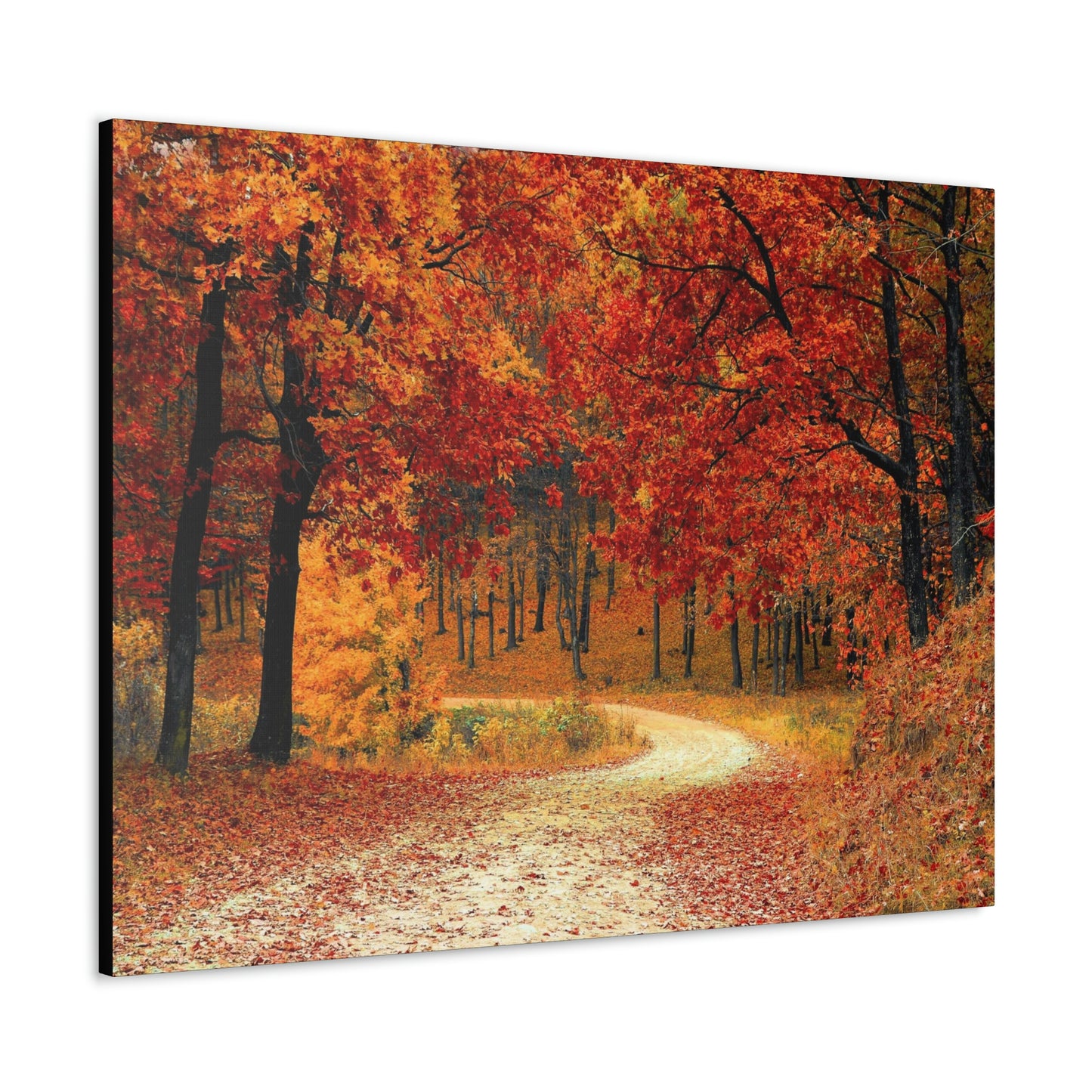 Fall Trail - Foliage forest - Canvas Gallery Wraps