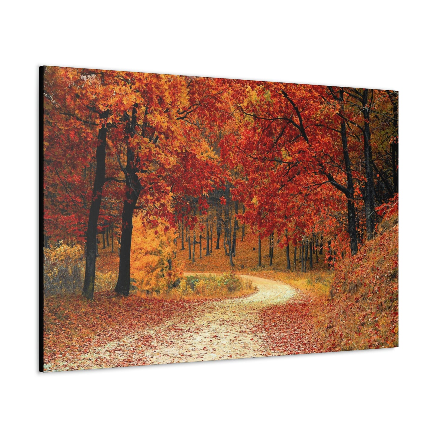 Fall Trail - Foliage forest - Canvas Gallery Wraps