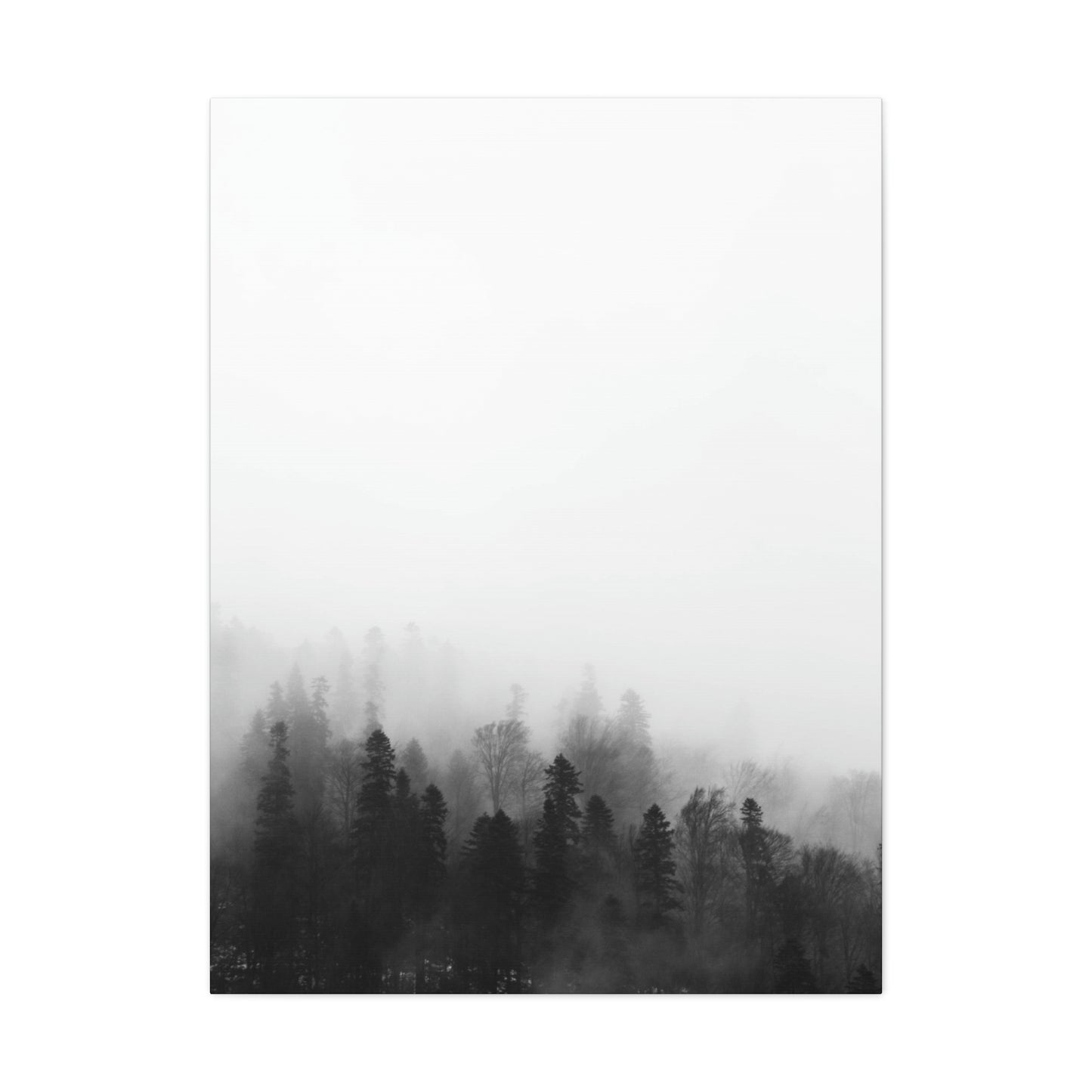 B&W Forest - Canvas Gallery Wraps