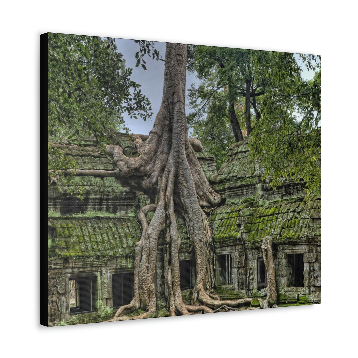 Jungle Temple - nature, trees Canvas Gallery Wraps