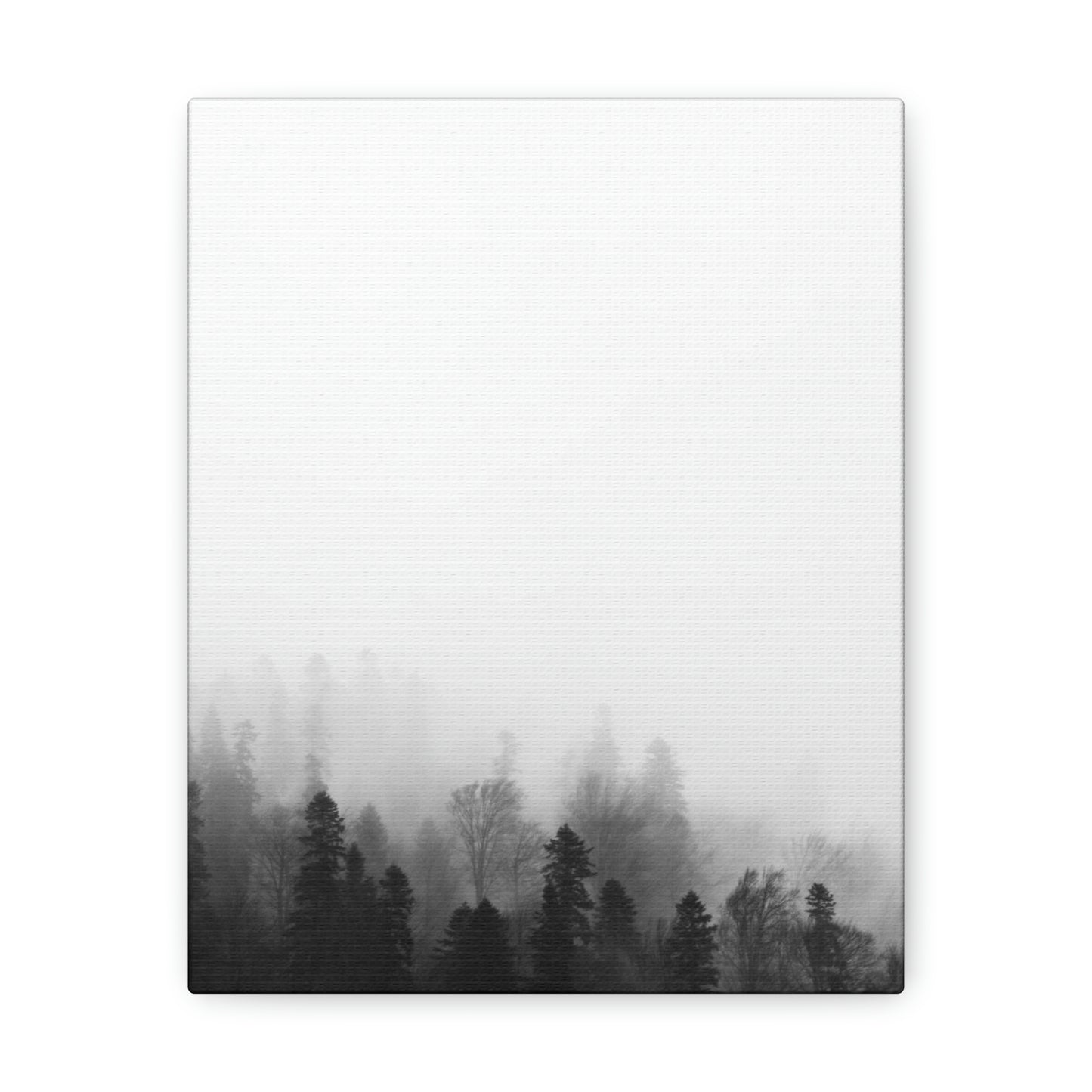 B&W Forest - Canvas Gallery Wraps