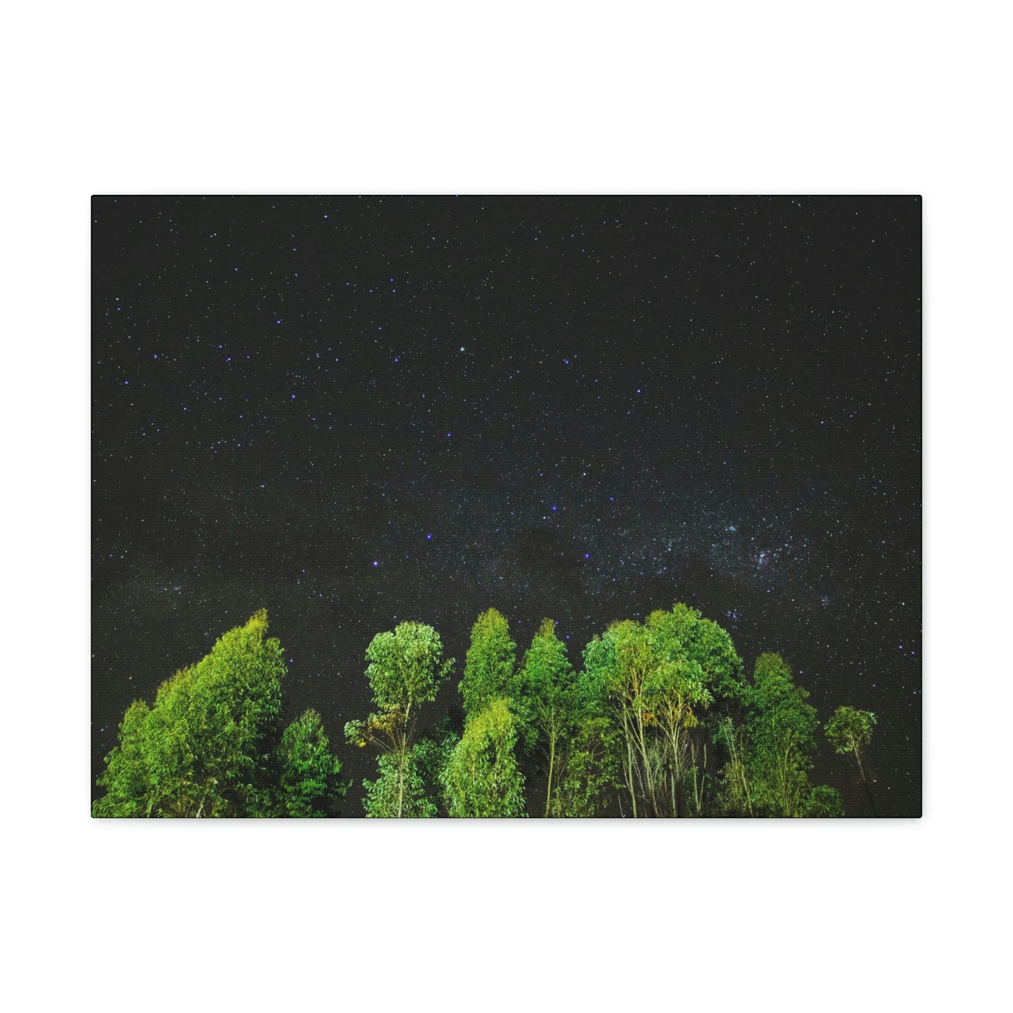 Starry Forest - Star, Forest, Nature - Canvas Gallery Wraps