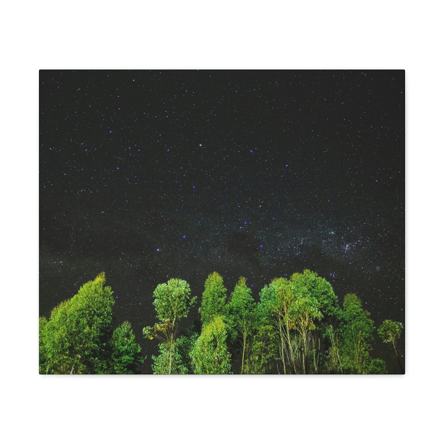 Starry Forest - Star, Forest, Nature - Canvas Gallery Wraps