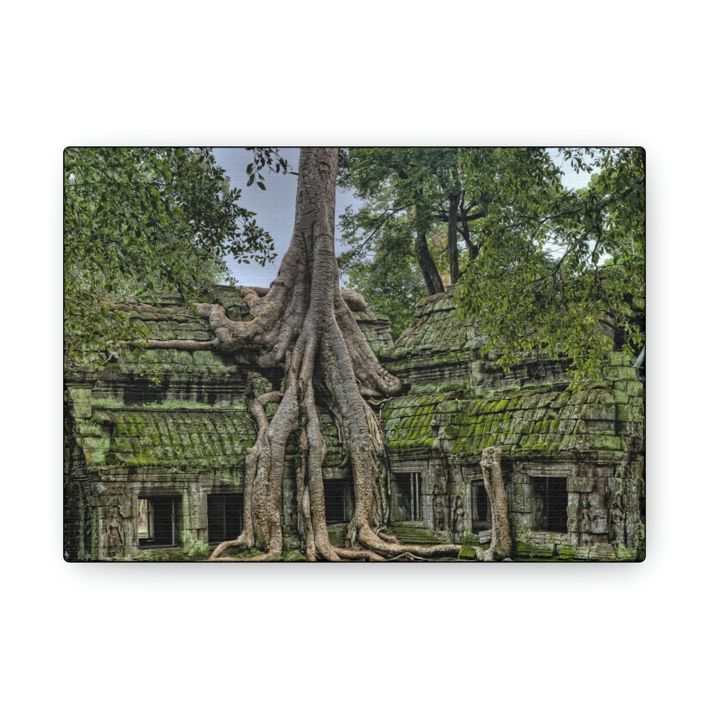 Jungle Temple - nature, trees Canvas Gallery Wraps