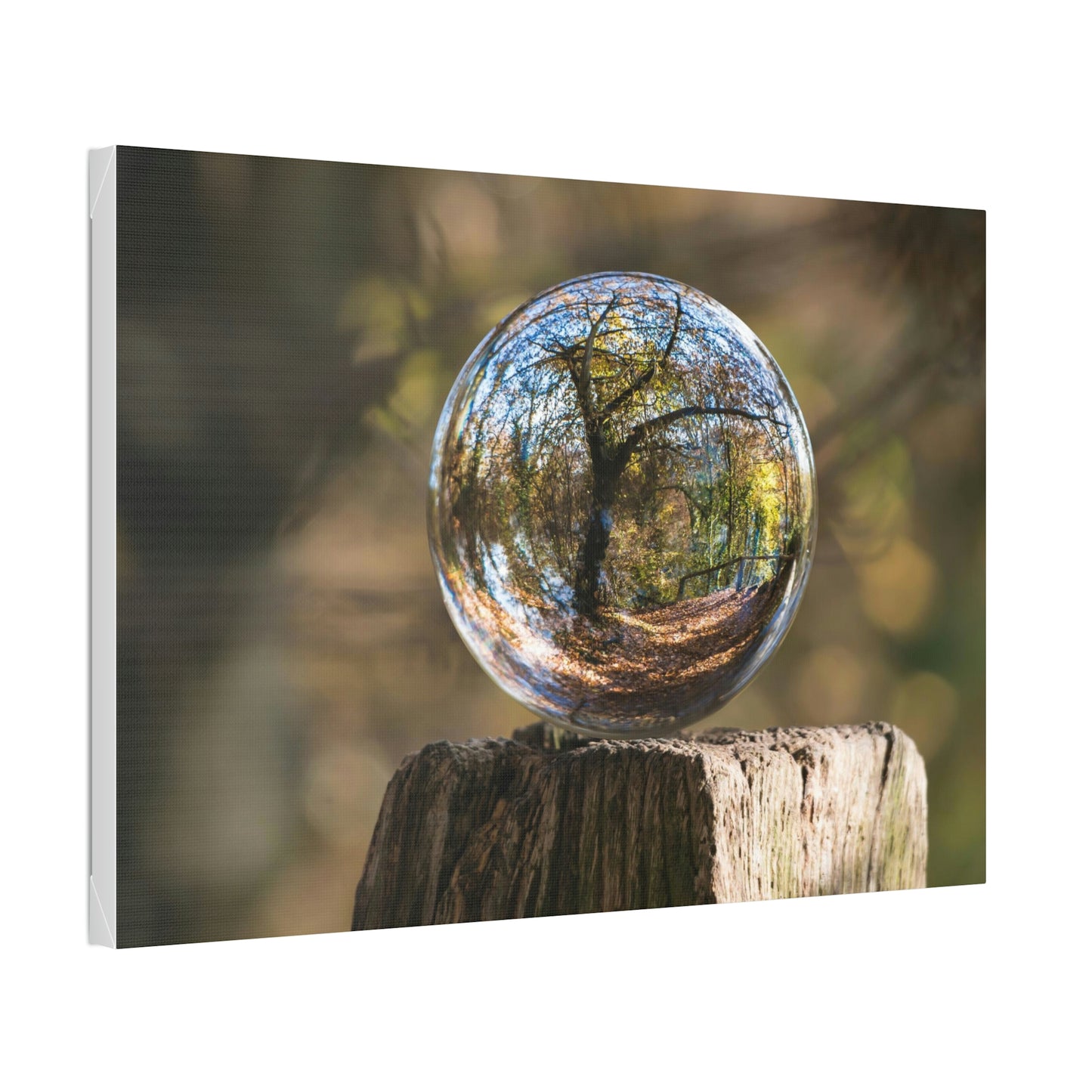 Forest, Globe, Trees, Nature, Forest Globe - Polyester Canvas