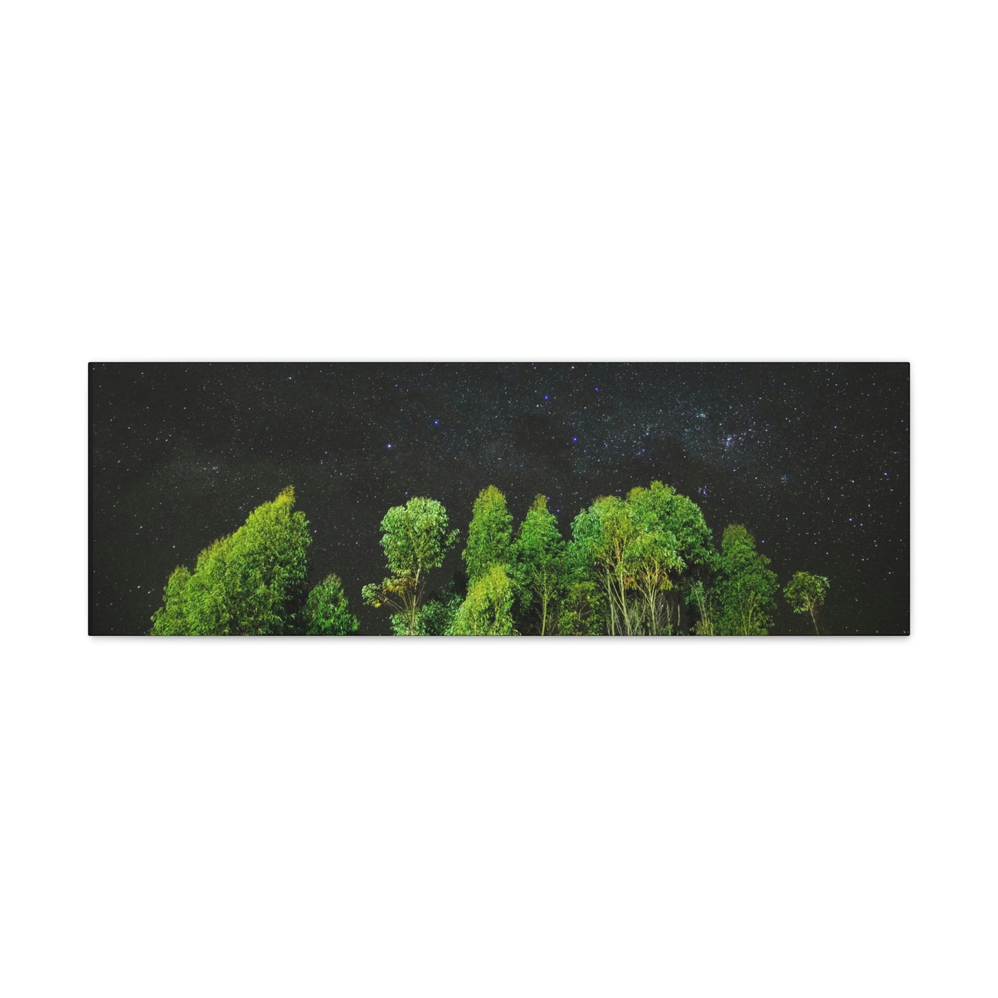 Starry Forest - Star, Forest, Nature - Canvas Gallery Wraps