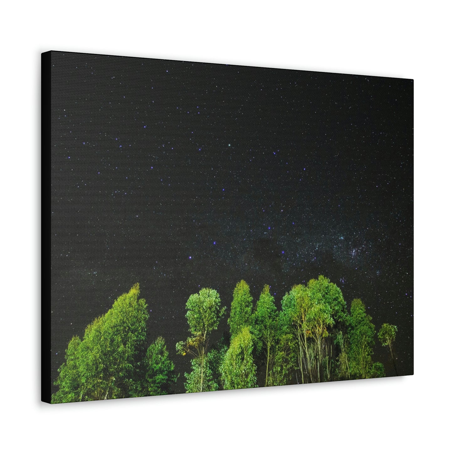 Starry Forest - Star, Forest, Nature - Canvas Gallery Wraps