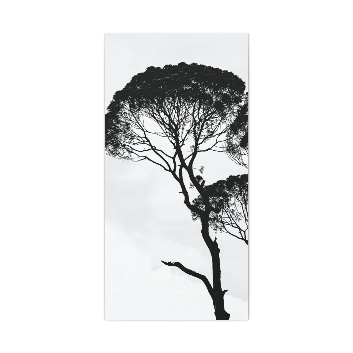Black and White Trees, Trees, Savannah, Safari - Polyester Canvas