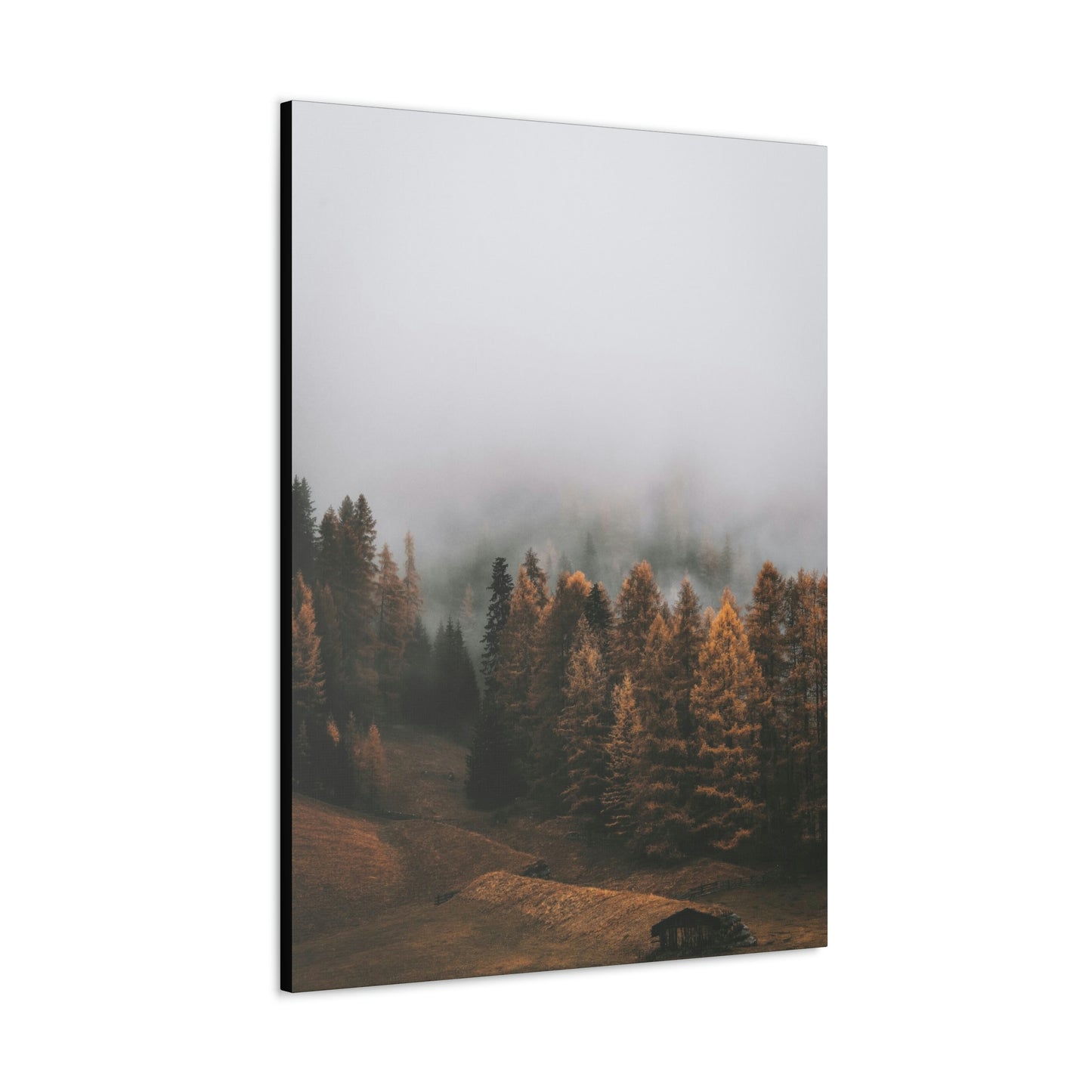 Smokey Mountains, Forest, Fog - Classic Canvas