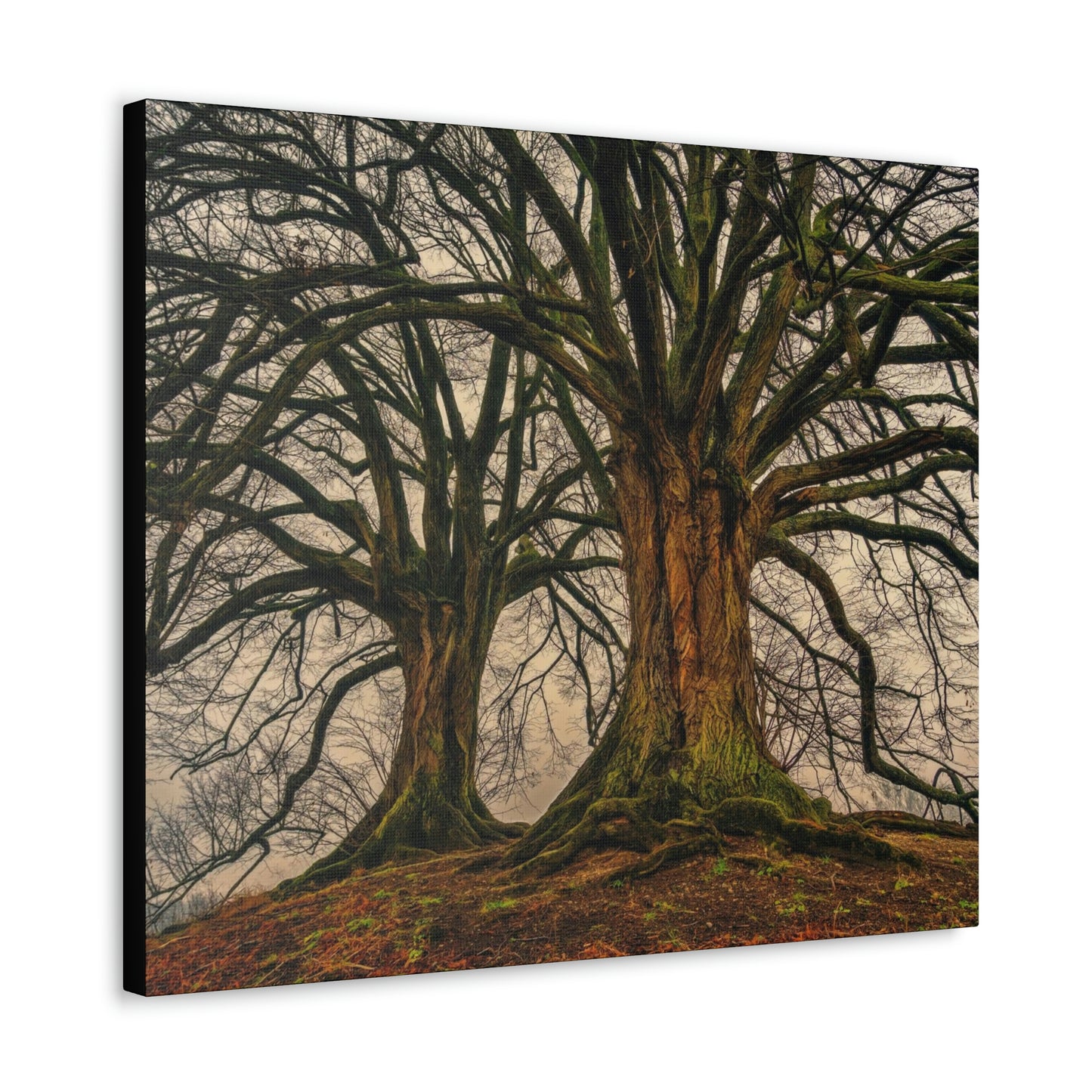 Dark Trees - Nature, Trees, Dark Canvas Gallery Wraps