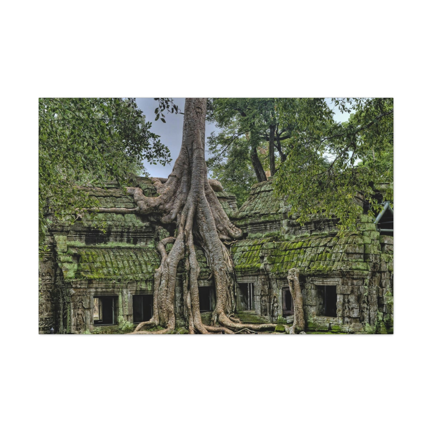 Jungle Temple - nature, trees Canvas Gallery Wraps