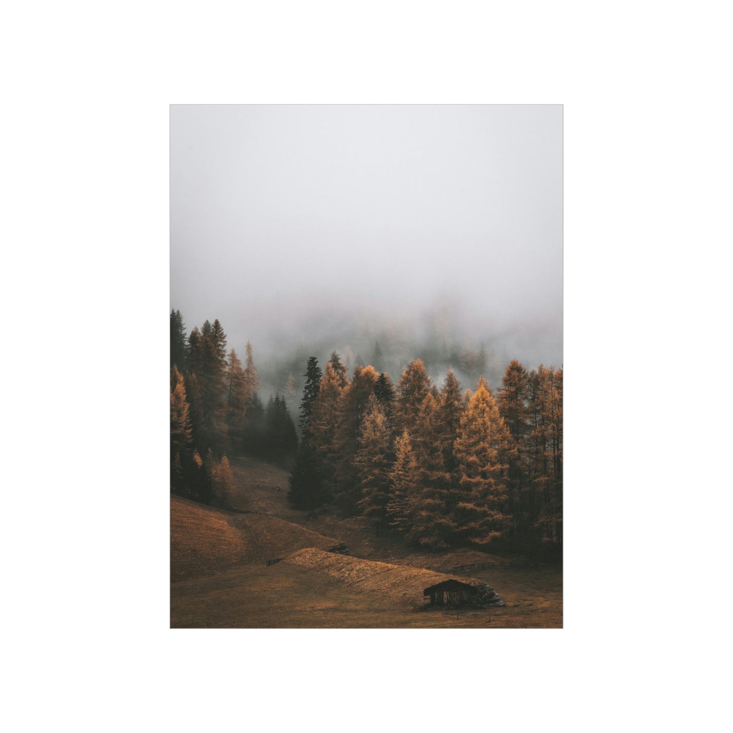 Smokey Mountains, Forest, Fog - Premium Matte Vertical Posters