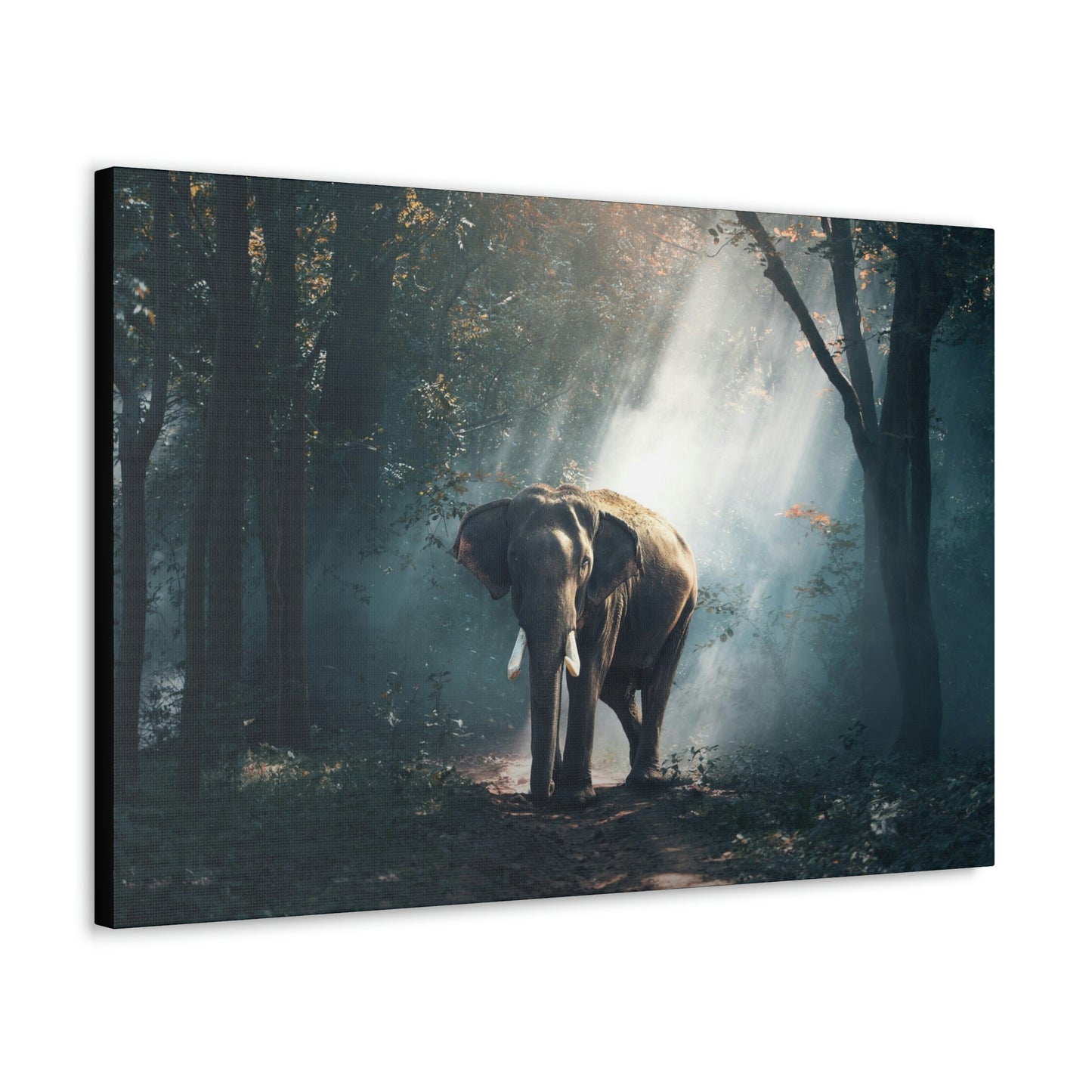 Elephant - Nature, Jungle Canvas Gallery Wraps