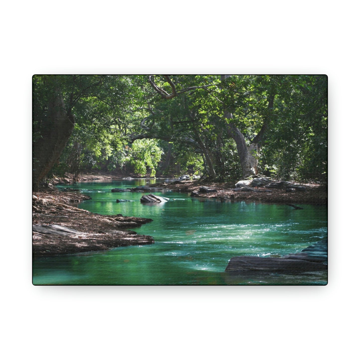Scenic River - Forest - Canvas Gallery Wraps