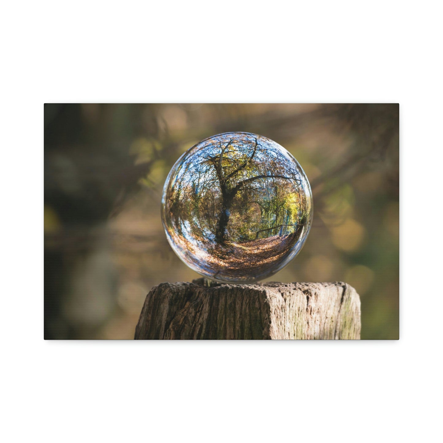 Forest, Globe, Trees, Nature, Forest Globe - Polyester Canvas