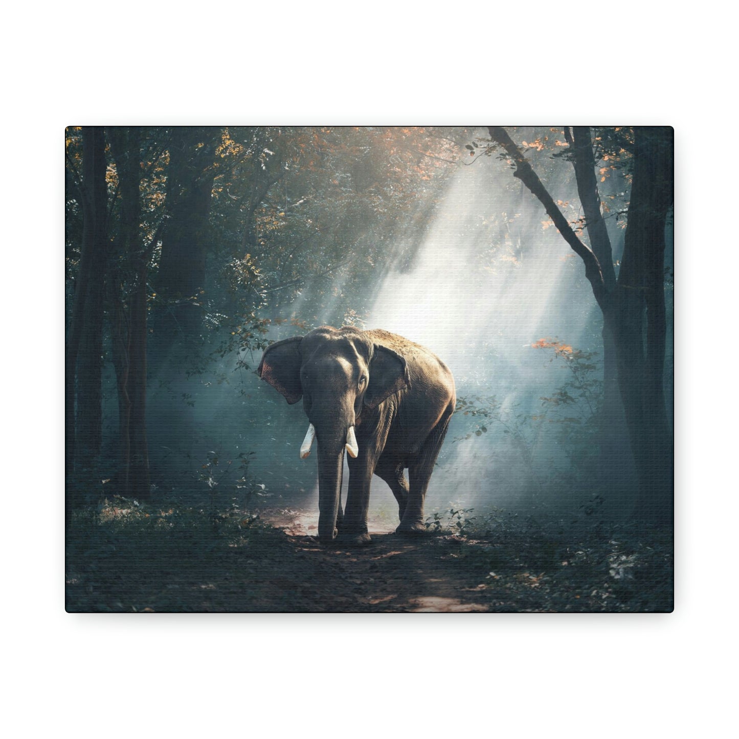 Elephant - Nature, Jungle Canvas Gallery Wraps
