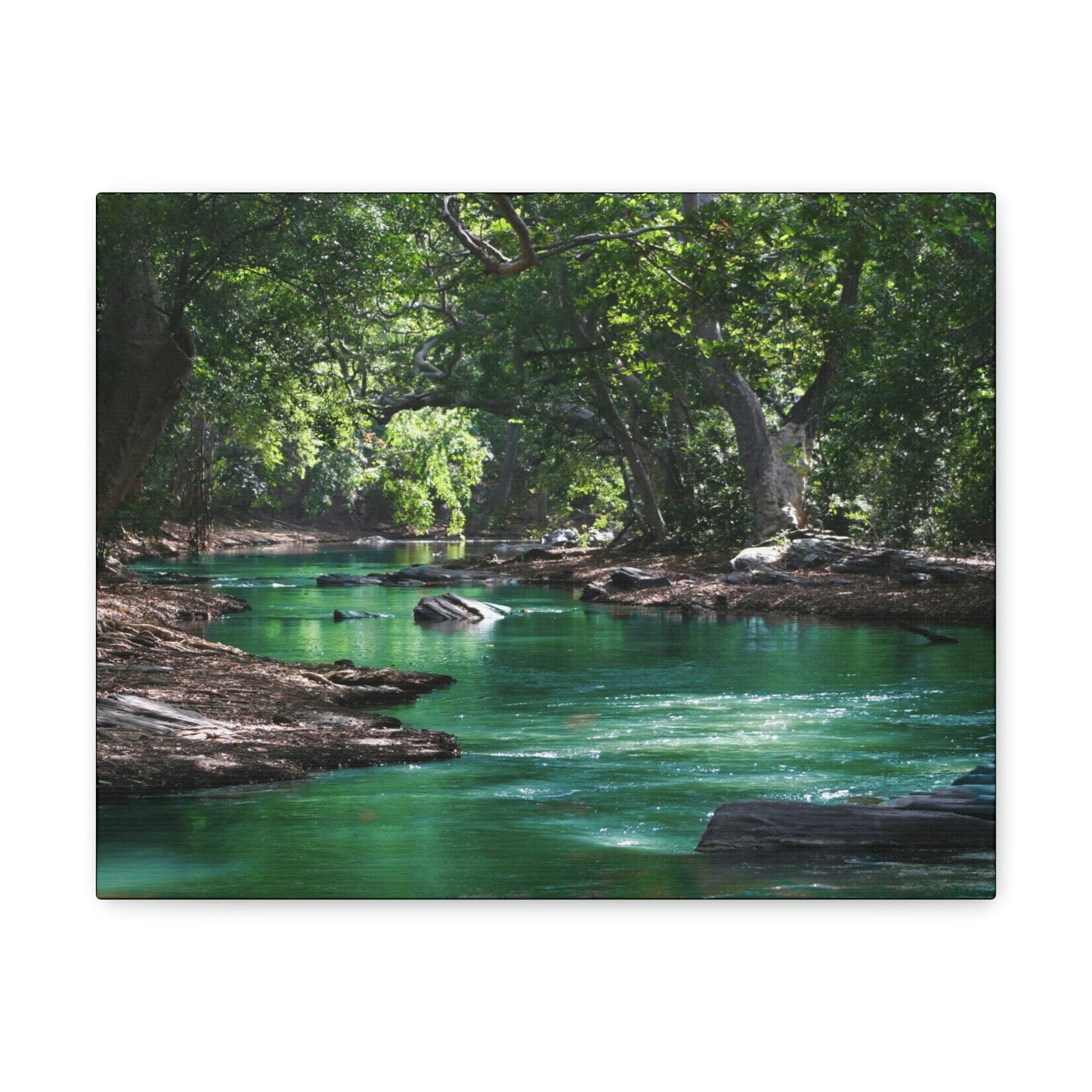 Scenic River - Forest - Canvas Gallery Wraps