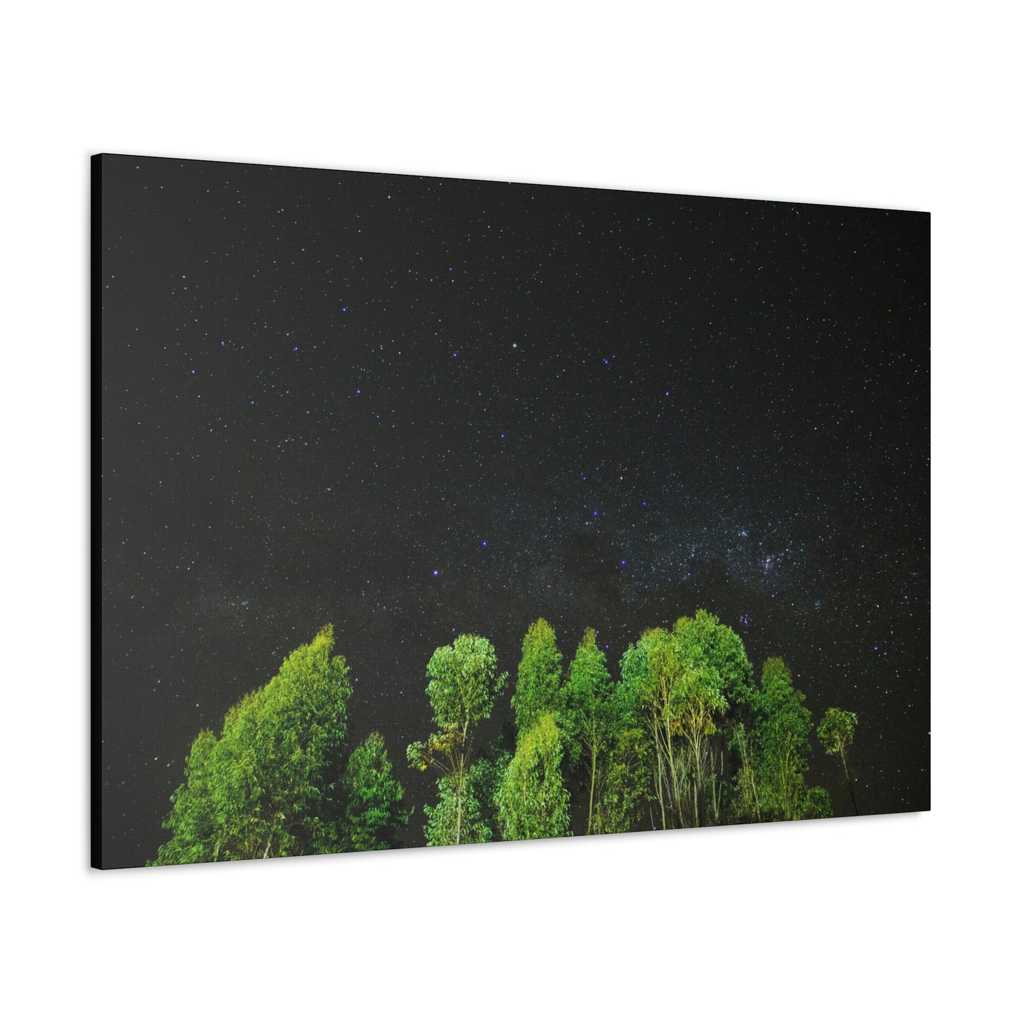 Starry Forest - Star, Forest, Nature - Canvas Gallery Wraps