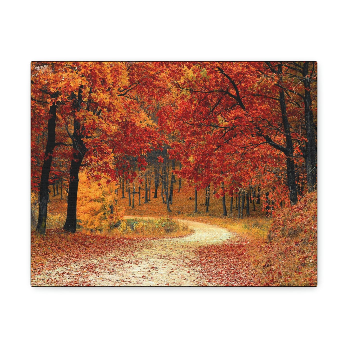 Fall Trail - Foliage forest - Canvas Gallery Wraps