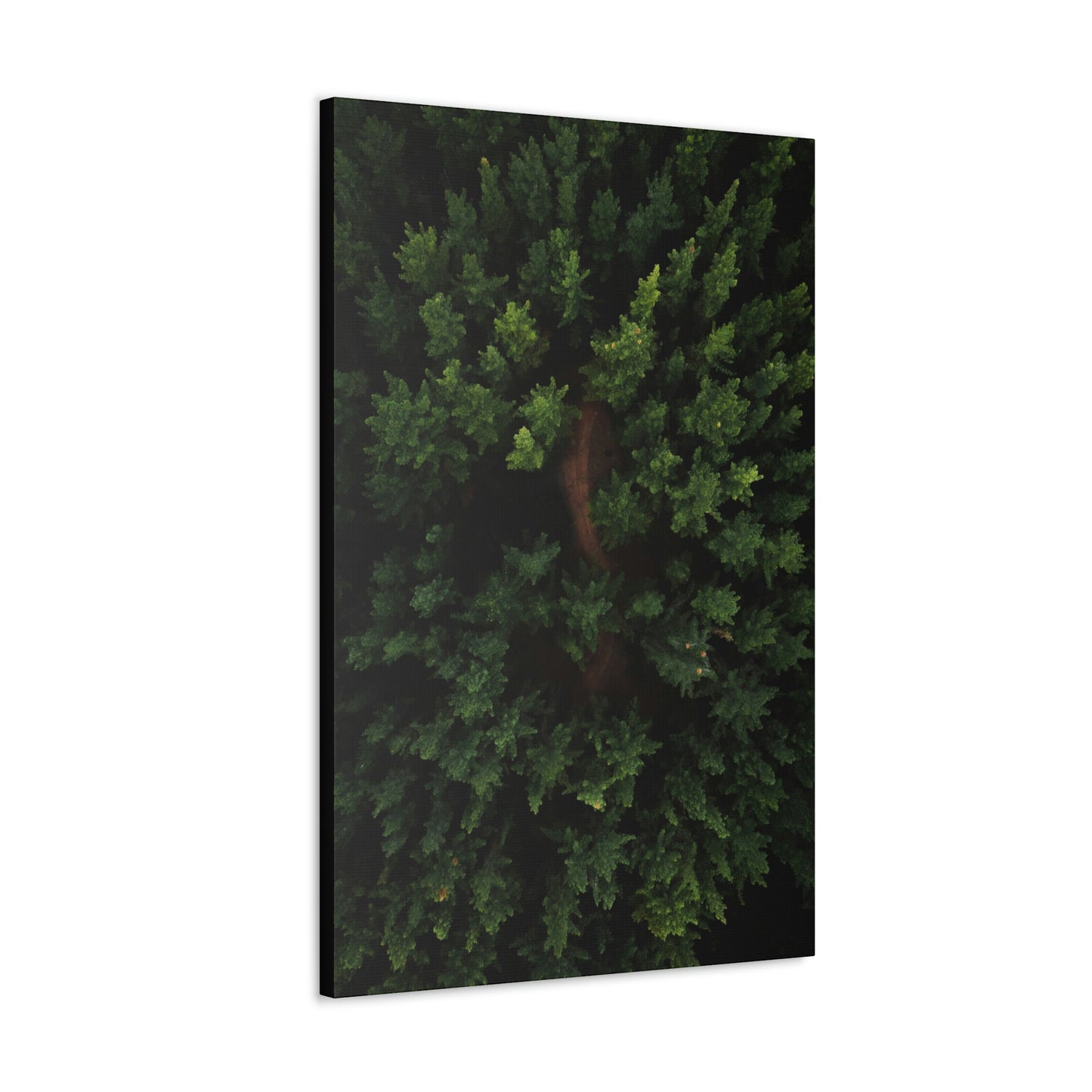 Forest eagle-view - Canvas Gallery Wraps