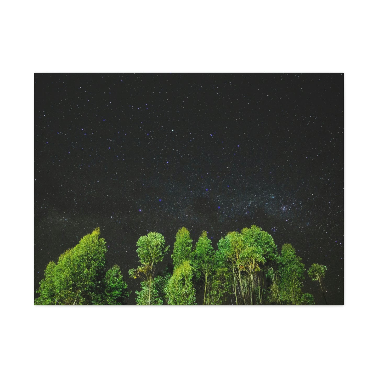 Starry Forest - Star, Forest, Nature - Canvas Gallery Wraps