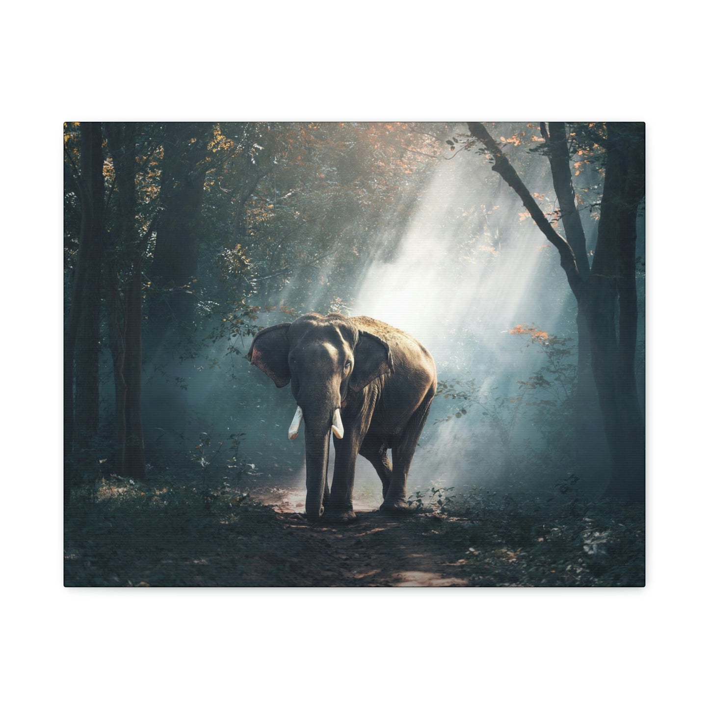 Elephant - Nature, Jungle Canvas Gallery Wraps